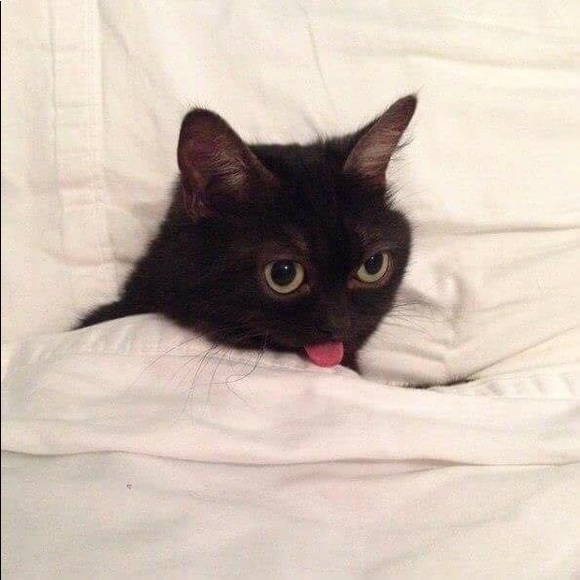 Meet your Posher, Amanda - Picture 1 of 1